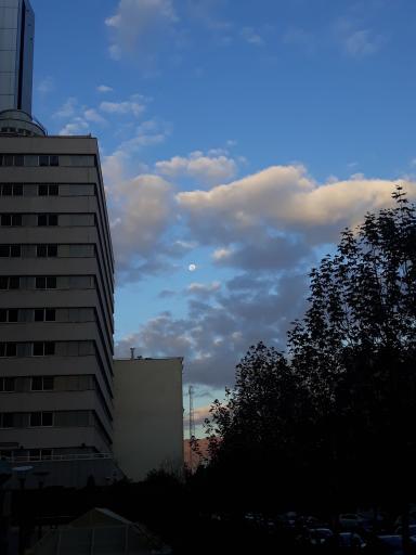 عکس برج جام جم