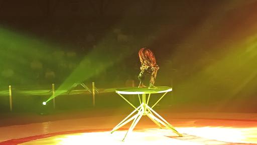 عکس سیرک ایران پرتغال