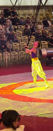 عکس سیرک ایران پرتغال