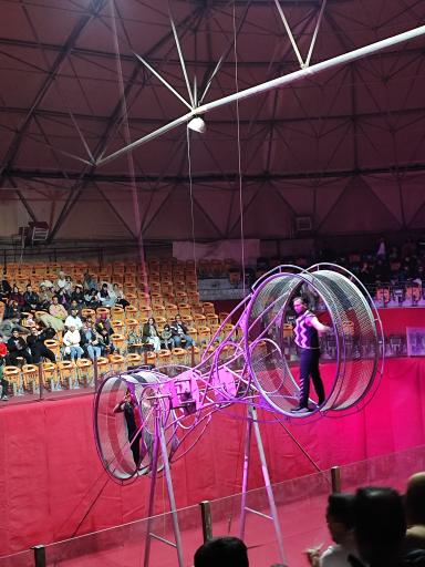 عکس سیرک ایران پرتغال