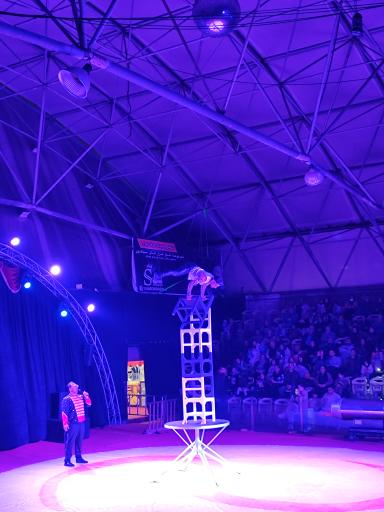 عکس سیرک ایران پرتغال