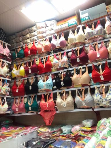 عکس تولید و پخش رویا