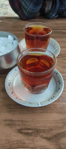 عکس غذا خوری آرش 