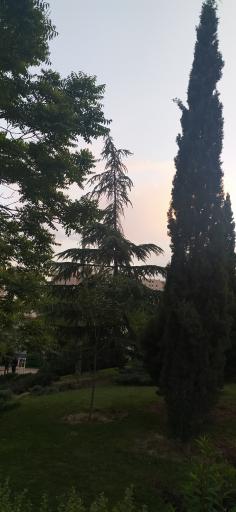 عکس پارک سخندان