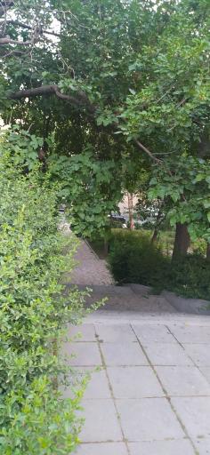 عکس پارک سخندان