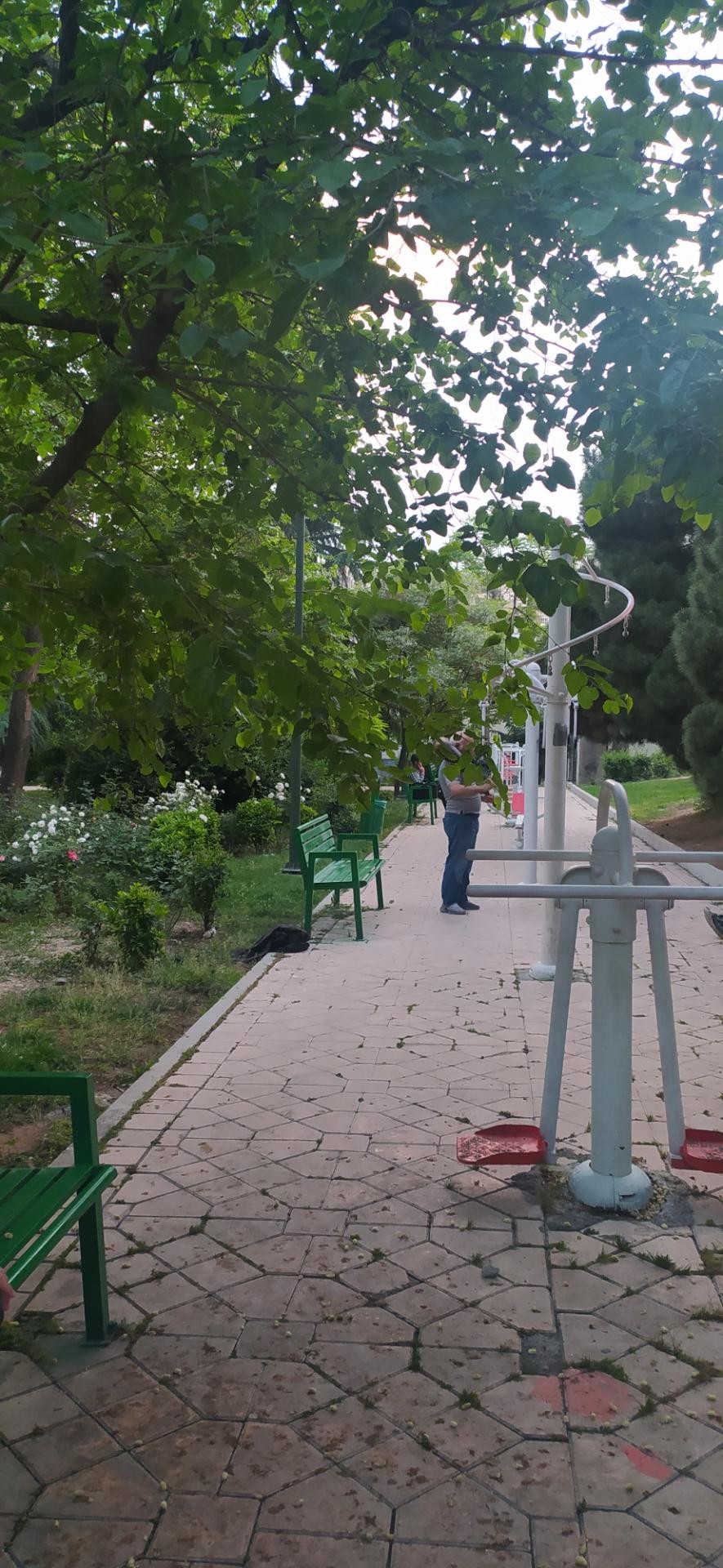 عکس پارک سخندان