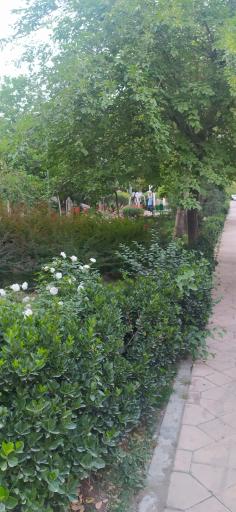 عکس پارک سخندان