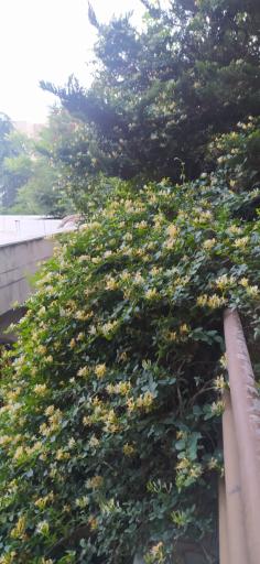 عکس پارک سخندان