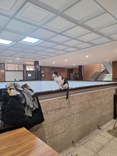 عکس دانشکده مهندسی برق