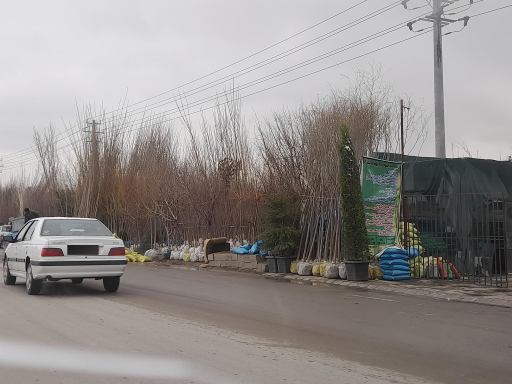 عکس مرکز تولید گل و گیاه آزادی