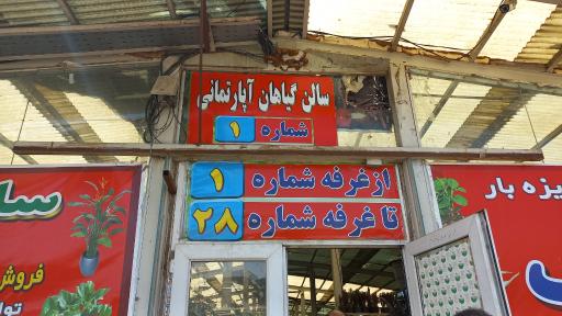 عکس گیاهان آپارتمانی مرکزی
