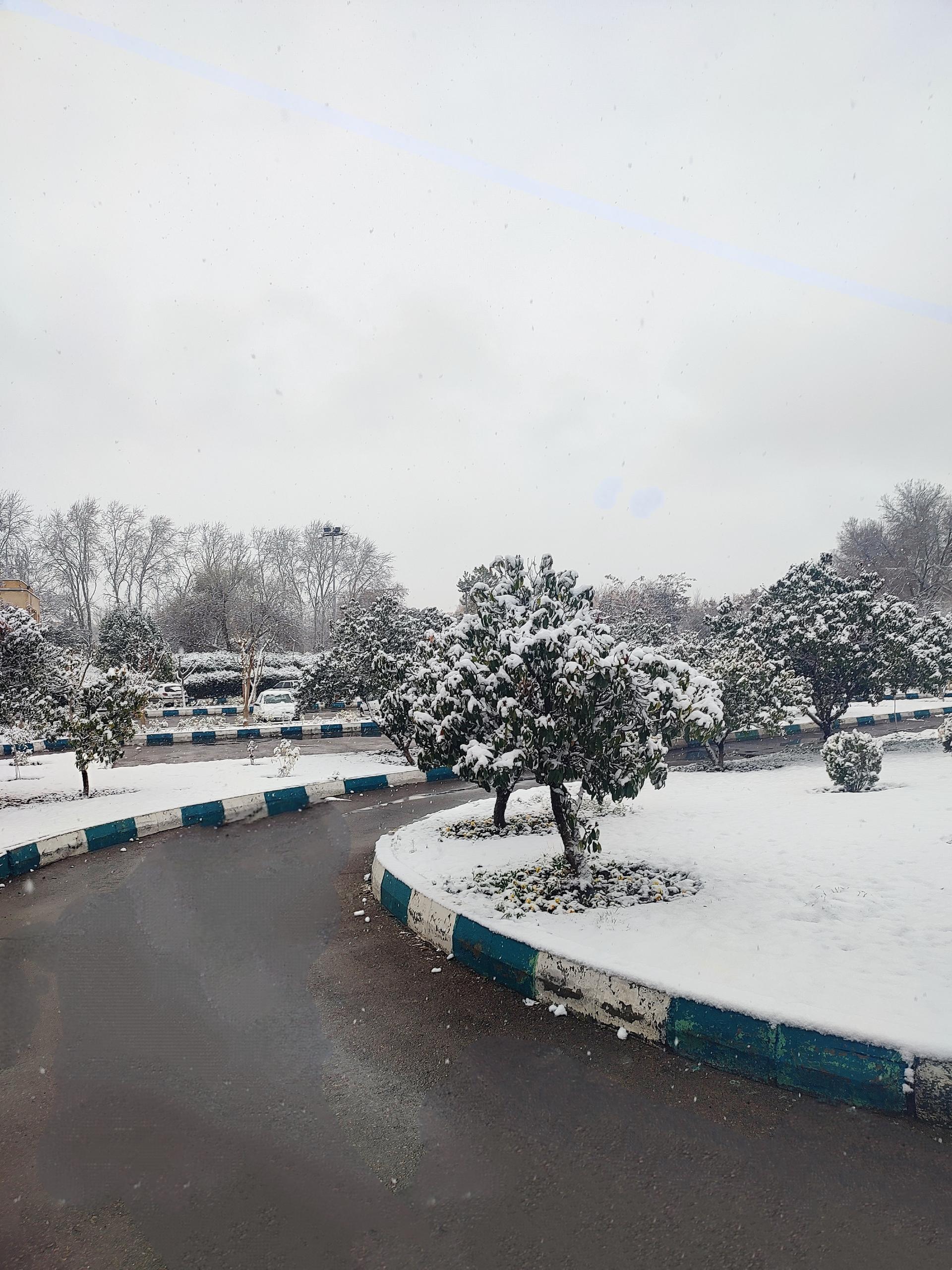 عکس پارکینگ باغ گلها