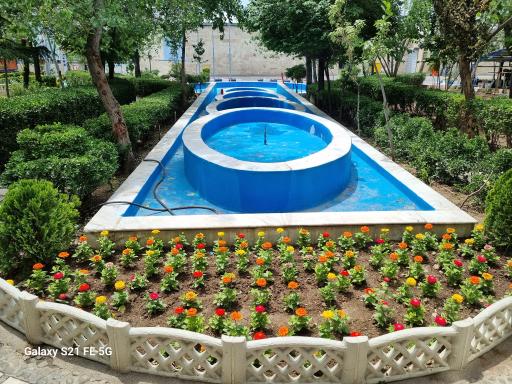 عکس شرکت لبنیات پاک