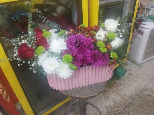 عکس دهکده گلها 