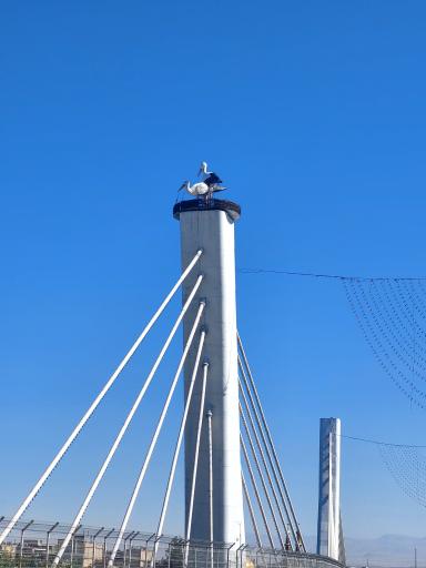 عکس میدان امام حسین