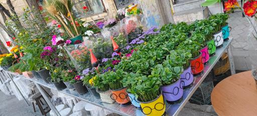 عکس دهکده گلها 