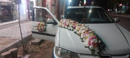 عکس دهکده گلها 