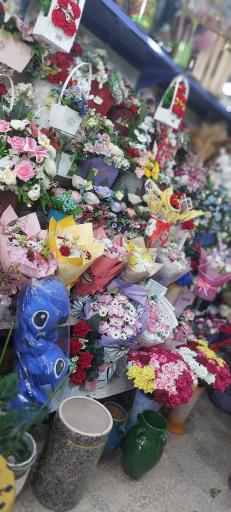 عکس دهکده گلها 