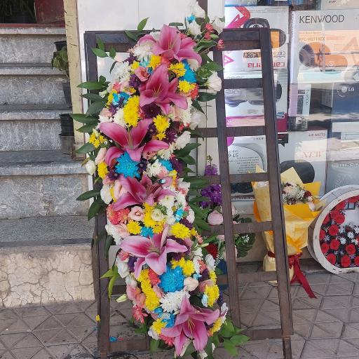 عکس دهکده گلها 