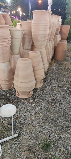 عکس گل سرای بهار 