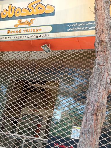 عکس مجتمع نان دهکده