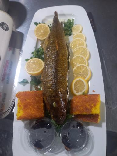 عکس کترینگ شریعتی