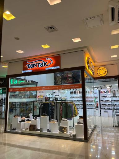 عکس کفش تن تاک شیراز