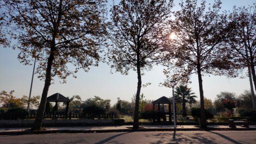 عکس پارک شهرداری