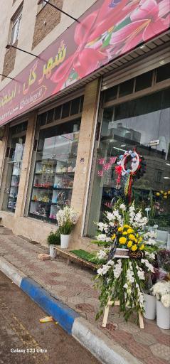عکس شهر گل اقبالیه