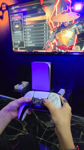 عکس گیم لند پرند