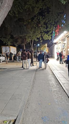 فست فود لیالی لبنان