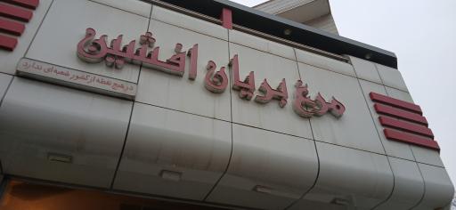 عکس مرغ بریان افشین