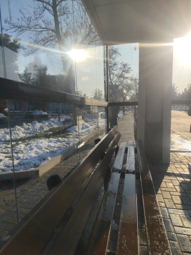 عکس  شهید رستمی 18