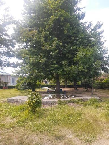 عکس اردوگاه شهید رجایی فریدونکنار