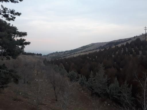 عکس بوستان هشت بهشت