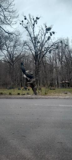 عکس ساحل سی سنگان