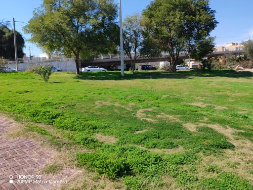 عکس بوستان سپیددژ