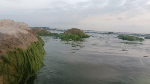 عکس ساحل سی سنگان