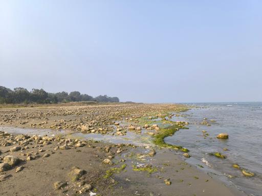 عکس ساحل سی سنگان