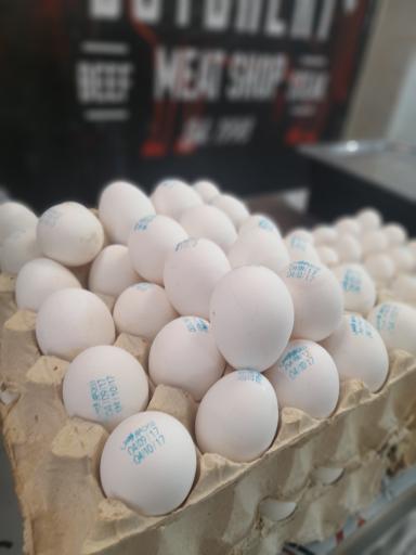 هایپر پروتئینی بوفالو