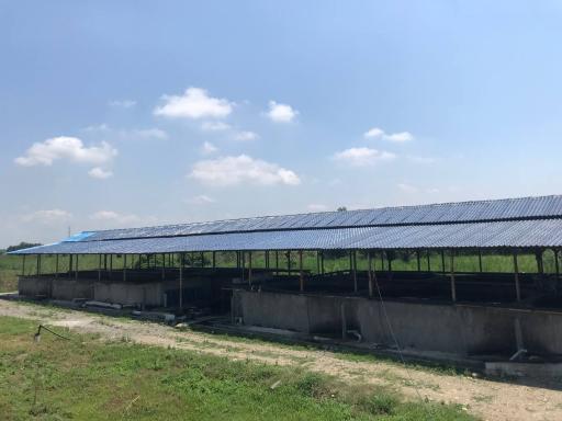 عکس پرورش ماهیان سرد آبی قوی سفید