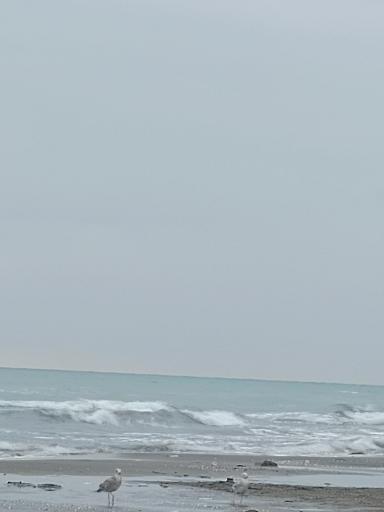 عکس ساحل سی سنگان