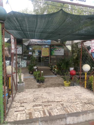 عکس نمایشگاه و فروشگاه گل و گیاه تراریوم