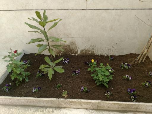 عکس نمایشگاه و فروشگاه گل و گیاه تراریوم