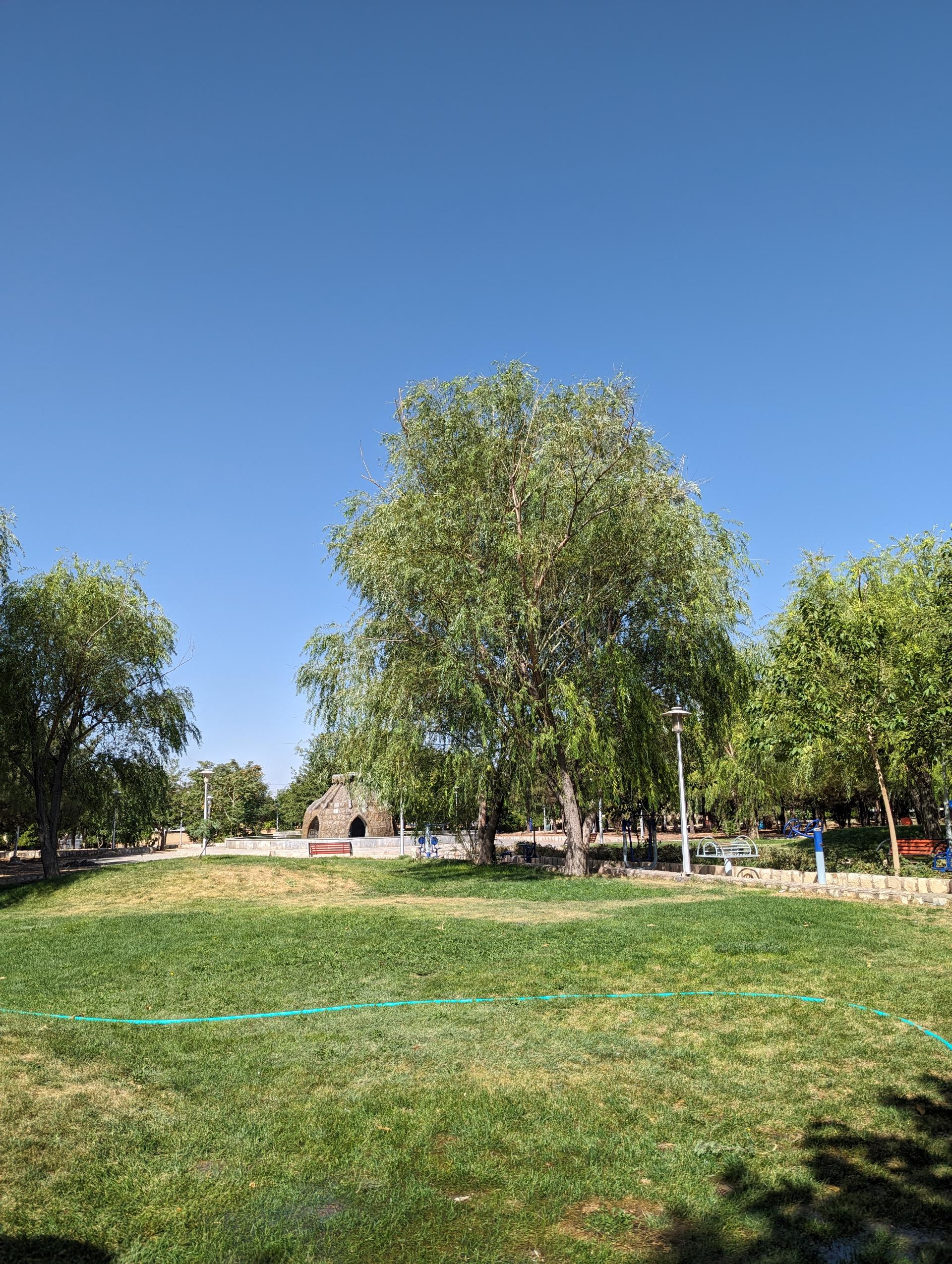 عکس پارک گلستان