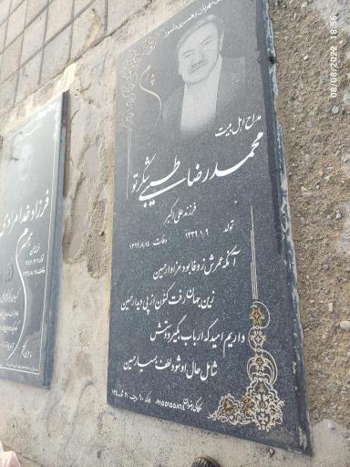 عکس مزار محمد رضا طیبی