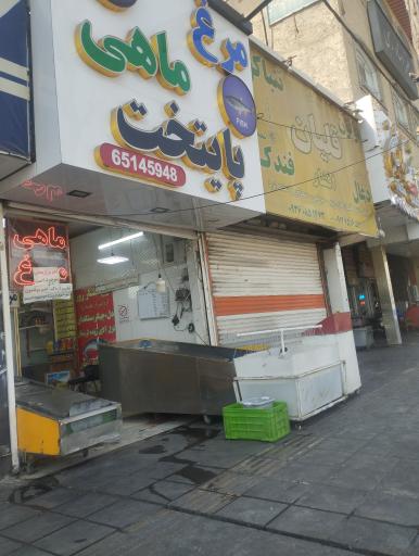 عکس مرغ و ماهی پایتخت