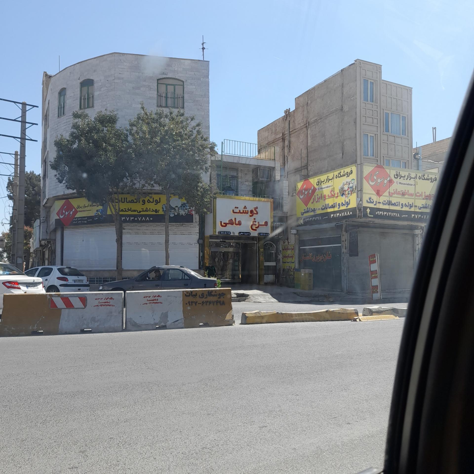 عکس مرغ و ماهی عطایی