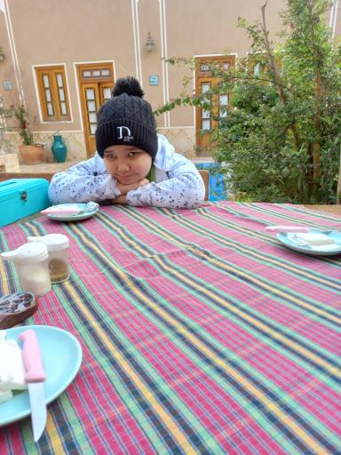 عکس اقامتگاه سرای دشتی 