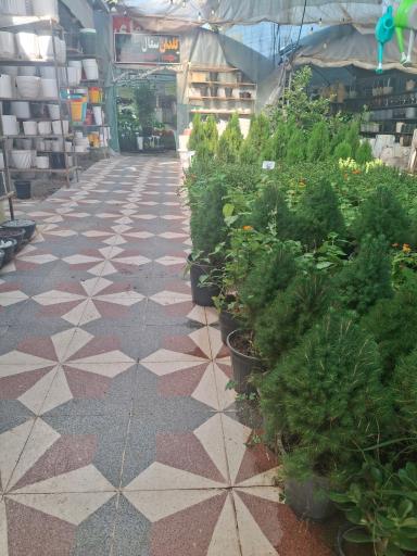 عکس گلستان ایران زمین